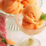 Melon Sorbet
