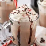 Ninja Creami Starbucks Peppermint Mocha Creamiccino Recipe