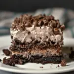Dirt Cake Recipe- A Delicious Dessert