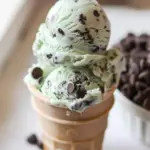 Mint Chocolate Chip Ice Cream